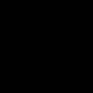 Meet your Posher, Isabella